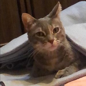 Meet your Posher, Milena